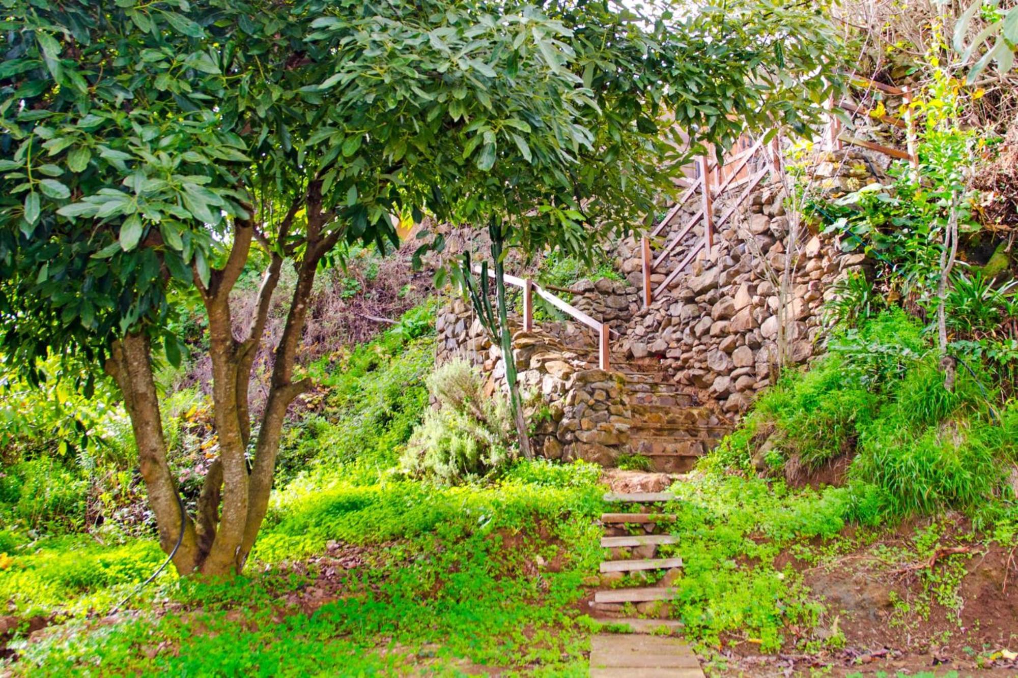 Villa Zenda De Fontanales Moya  Exterior foto